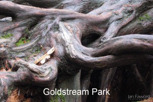 Goldstream Park